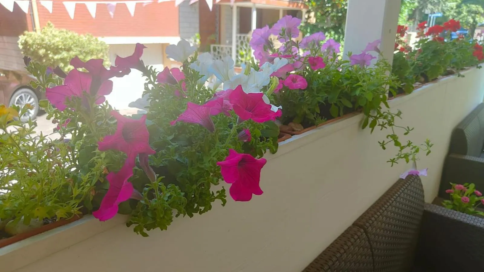 Hotel Eriale Rimini